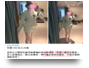高雄外送茶莊Line/Gleezy:tws966高雄叫小姐