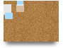 PI20_DannaMoet_M.R