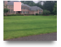 Professional Lawn Care